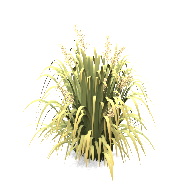 Golden grass clump — Blender multi-view render